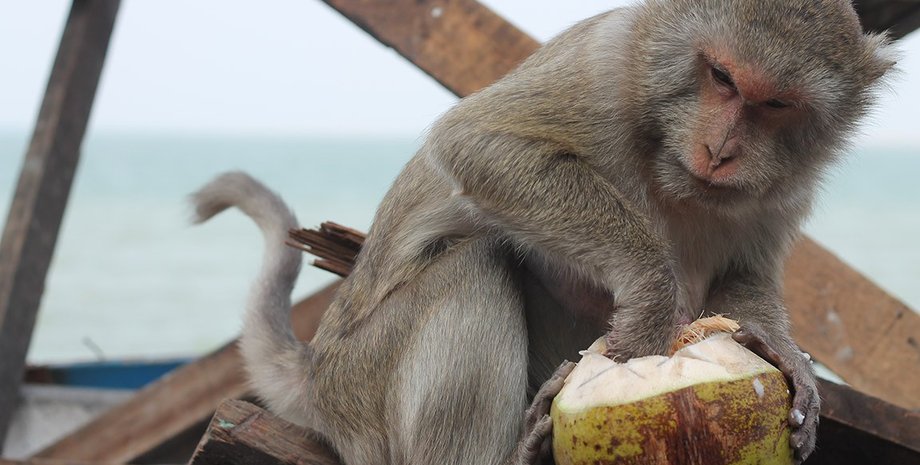 Фото: TutKnow.ru