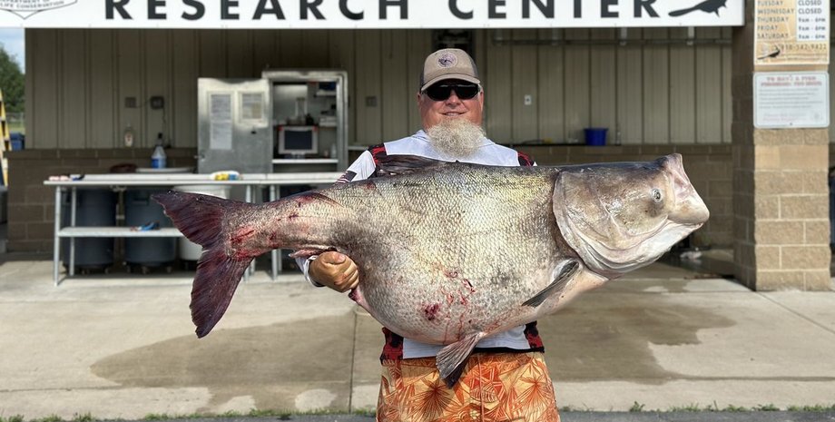 Возможно, самая большая речная рыба в мире