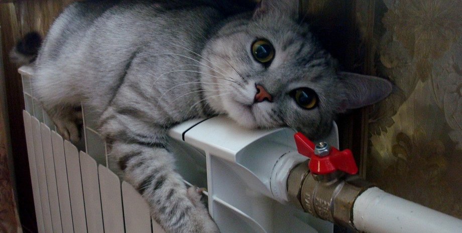 киев, тарифы, отопление, горячая вода, тарифы на отопление, тарифы на горячую воду