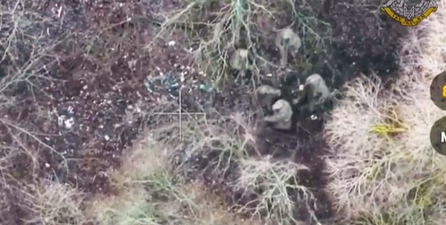 Войска КНДР в плену, бойцы кндр,