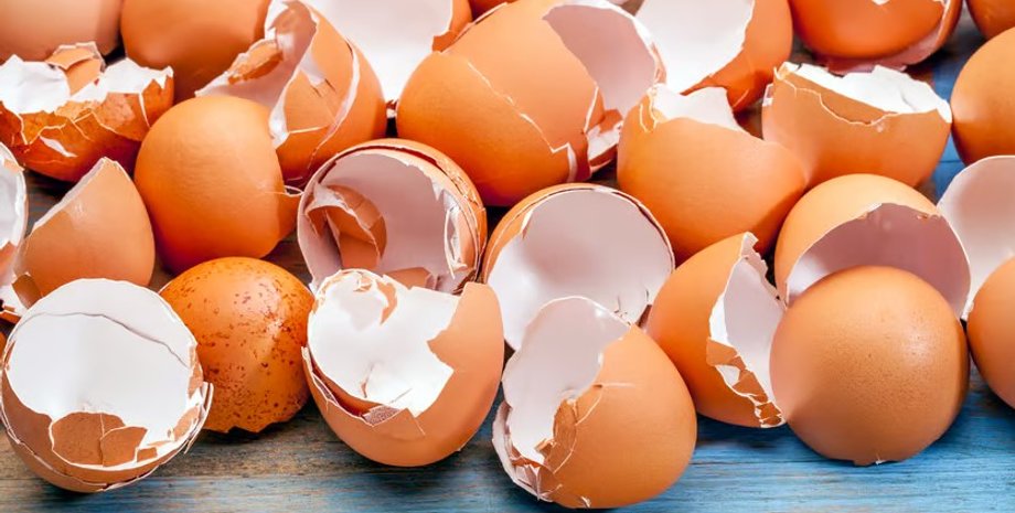 яйце, шкаралупа