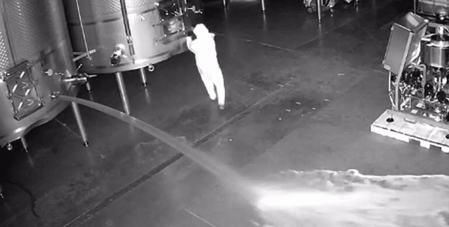 Вино, напиток, курьезы, Испания, преступления, винодельня, Рибера-дель-Дуэро, убытки, видео