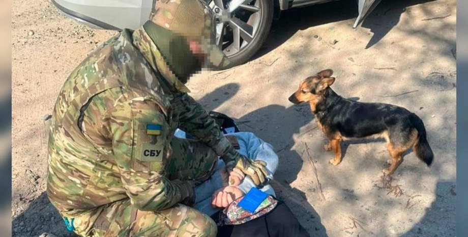 СБУ, задержание, российский агент, собака, обстрелы, Харьков