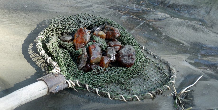 Фото: press-centr.com