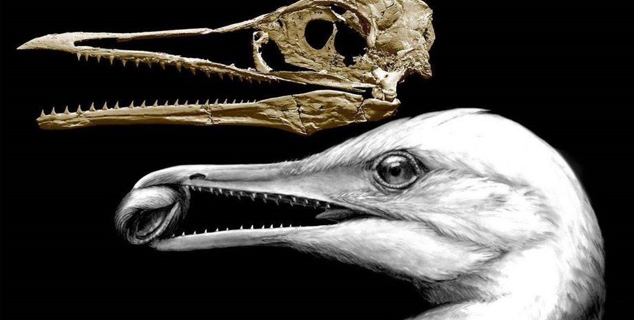 Реконструкция / Фото: Yale University