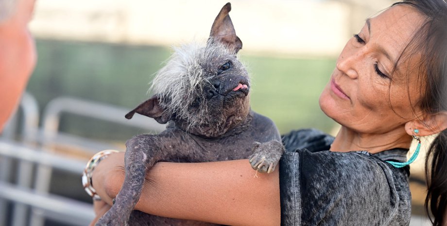 Містер Хепі Фейс