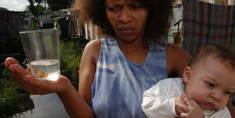 Желтый скорпион в Бразилии