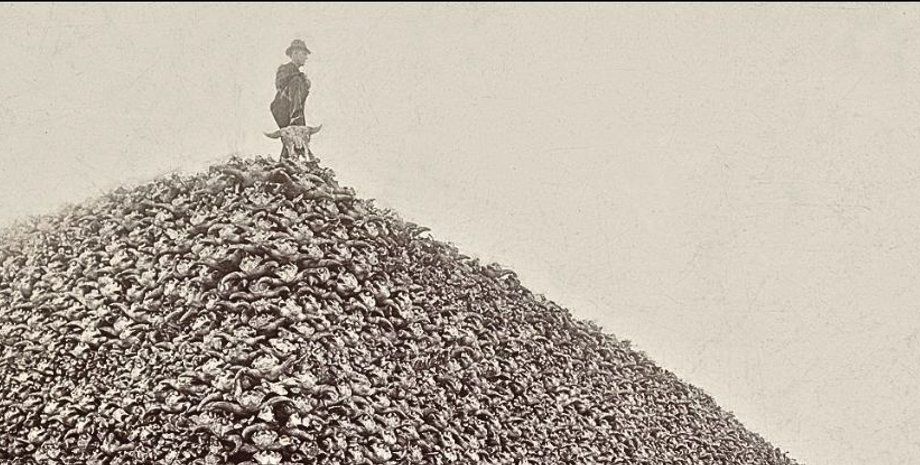 Мужчина стоят на огромной куче черепов буйволов, Мичиганский угольный завод, Ружвилл