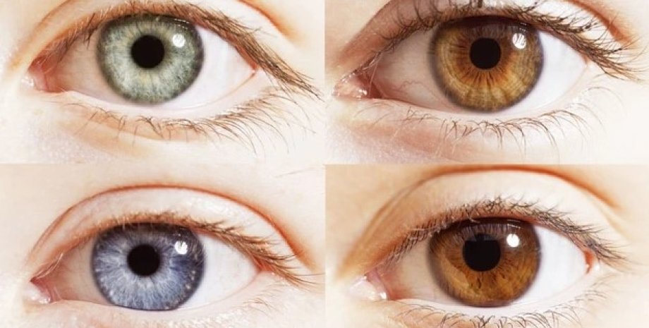 колір очей, очі