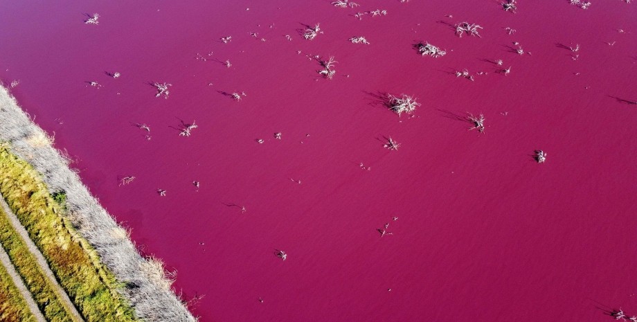 Патагонія, рожева лагуна, аргентина, забруднення