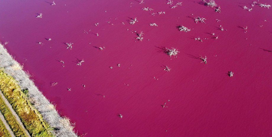 патагония, розовая лагуна, аргентина, загрязнение