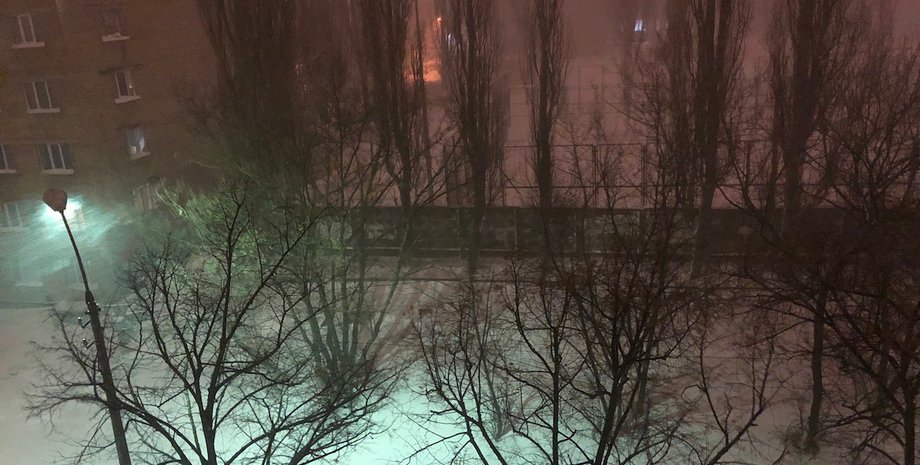 Фото: Фокус