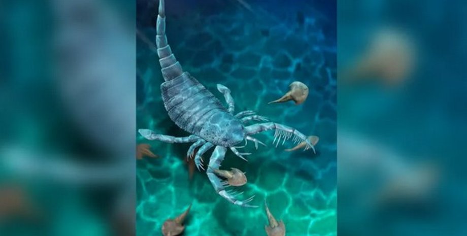 Морской скорпион, эвриптерид, ракоскорпион