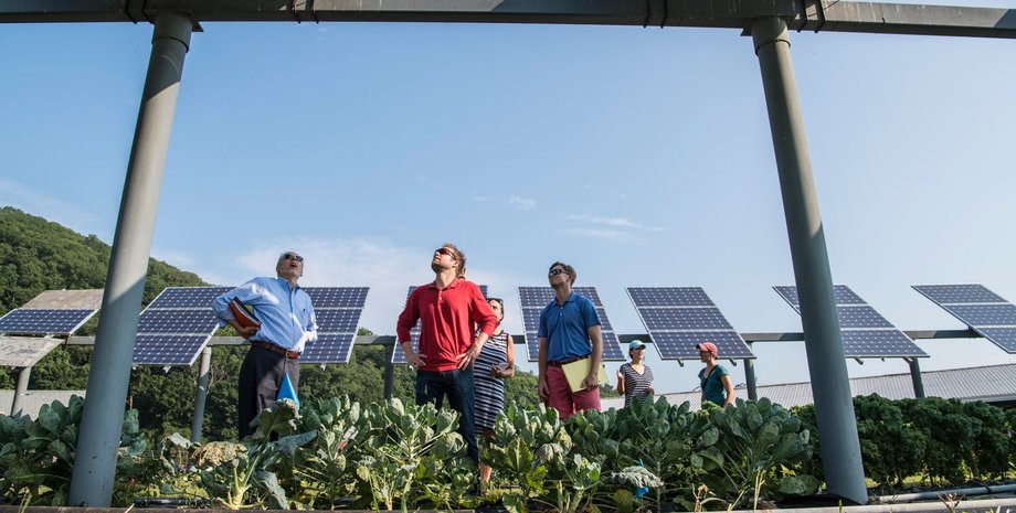 Сонячні панелі на фермі