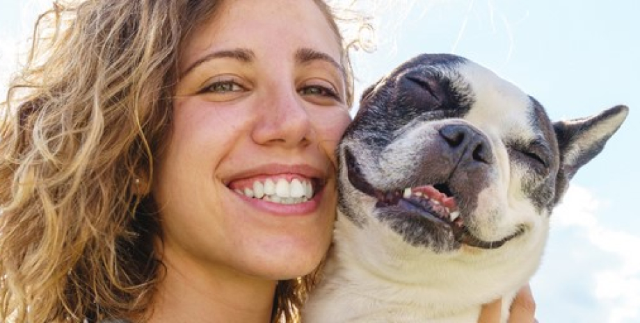 человек собака человек собака