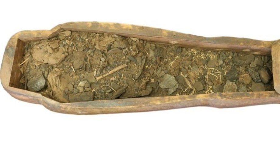 Фото: NICHOLSON MUSEUM/UNIVERSITY OF SYDNEY