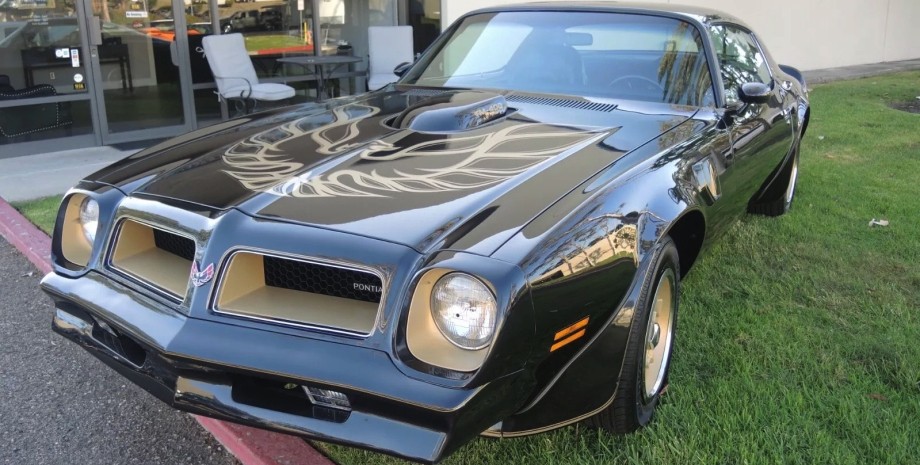 Pontiac Firebird 1976, Pontiac Firebird, Pontiac Firebird Trans Am