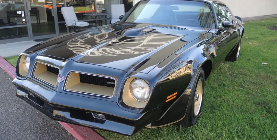 Pontiac Firebird 1976 года, Pontiac Firebird, Pontiac Firebird Trans Am