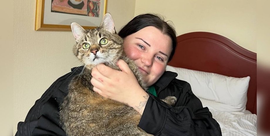 alyona alyona, найпопулярніший кіт України, кіт Степан