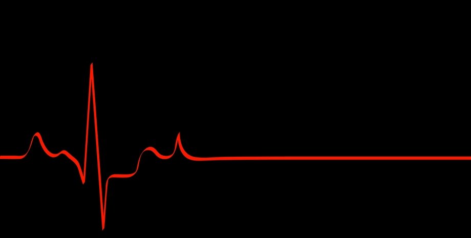 Фото: МТС/Медиа