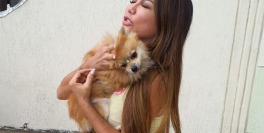 Собака выпал с 12 этажа и выжил, как ему это удалось, спасение песика, померанский шпиц, курьезы