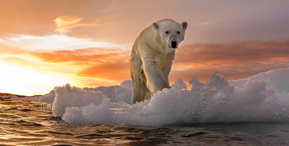 глобальное потепление, ускорение потепления, ускорение потепления земли