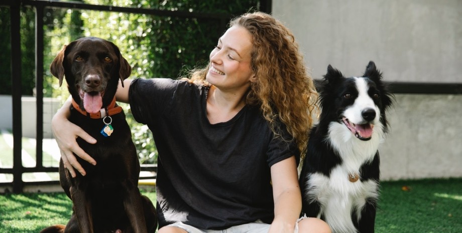 Ученые назвали все плюсы и минусы жизни с собакой собаки, польза собак, вред собак, собаки и здоровье