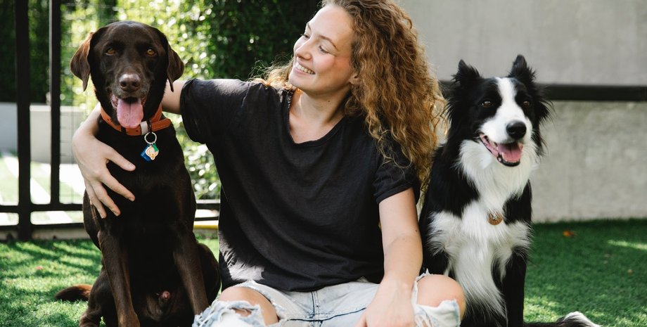 собаки в большом вольере