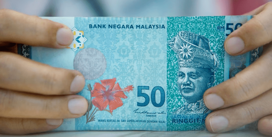 Малайзійський рінггіт, терміти з'їли гроші, гроші, заначка, гроші в коробці, подрібнили гроші, купюри, коробка,