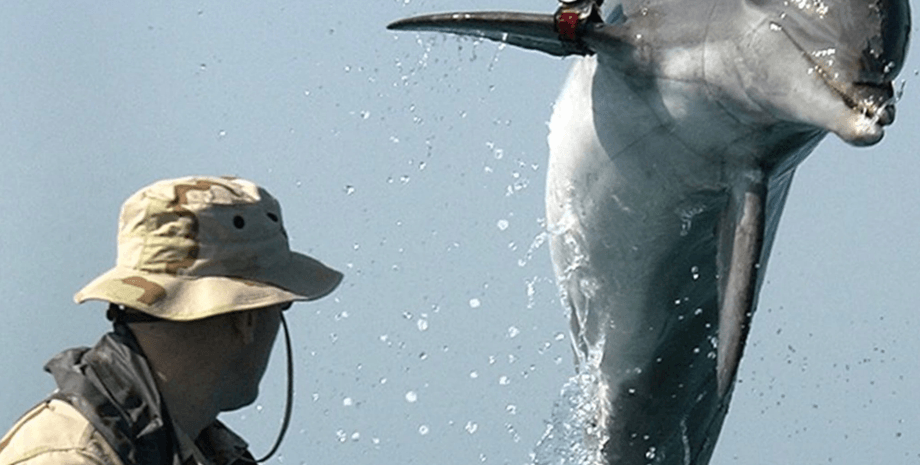 хамас и израиль