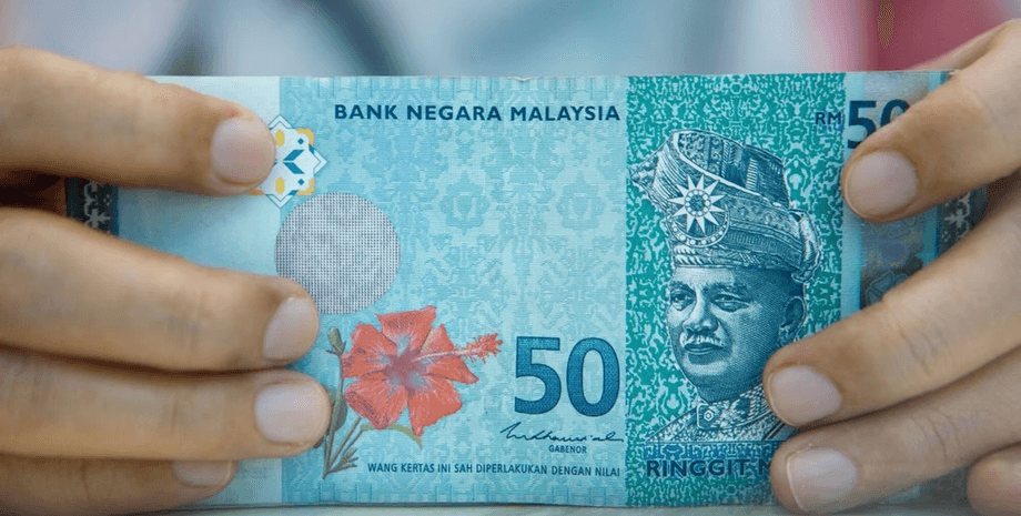 Малайзійський рінггіт, терміти з'їли гроші, гроші, заначка, гроші в коробці, подрібнили гроші, купюри, коробка,