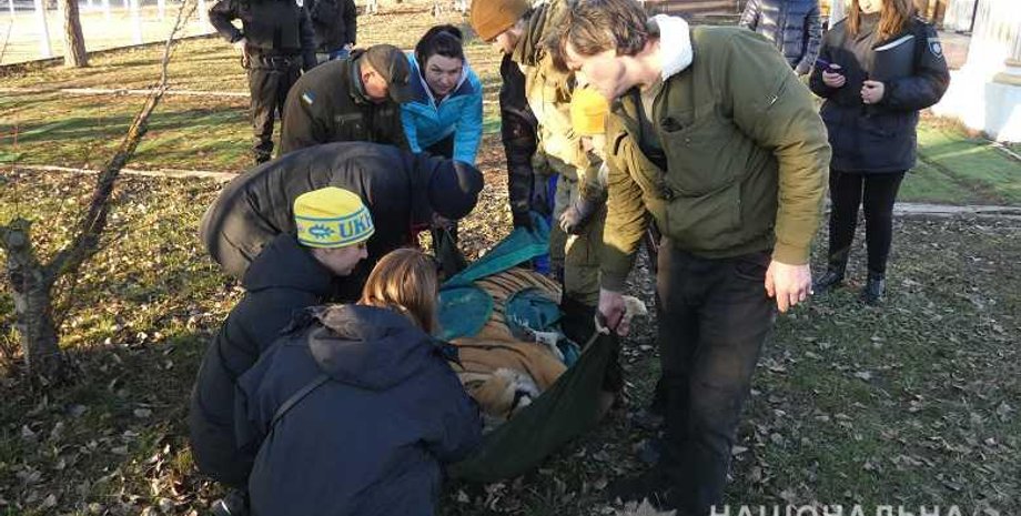 Фото: kyiv.npu.gov.ua