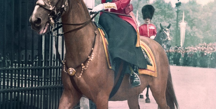 Єлизавета ІІ, король карл, король чарльз, коні королеви єлизавети, король чарльз продає коней матері