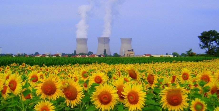 Иллюстративное фото