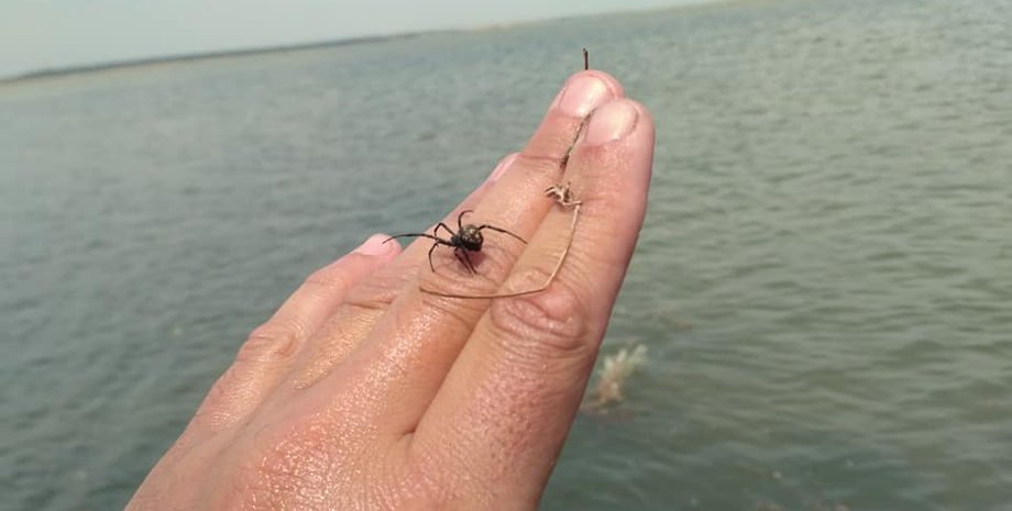 Фото: Бессарабия ИНФОРМ