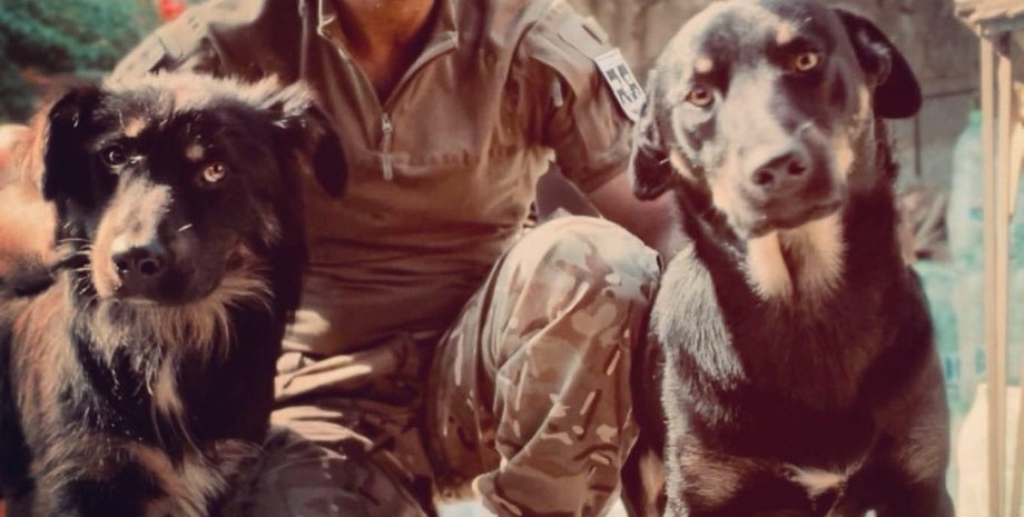 Шехан Ранішка, війна, Україна, фото