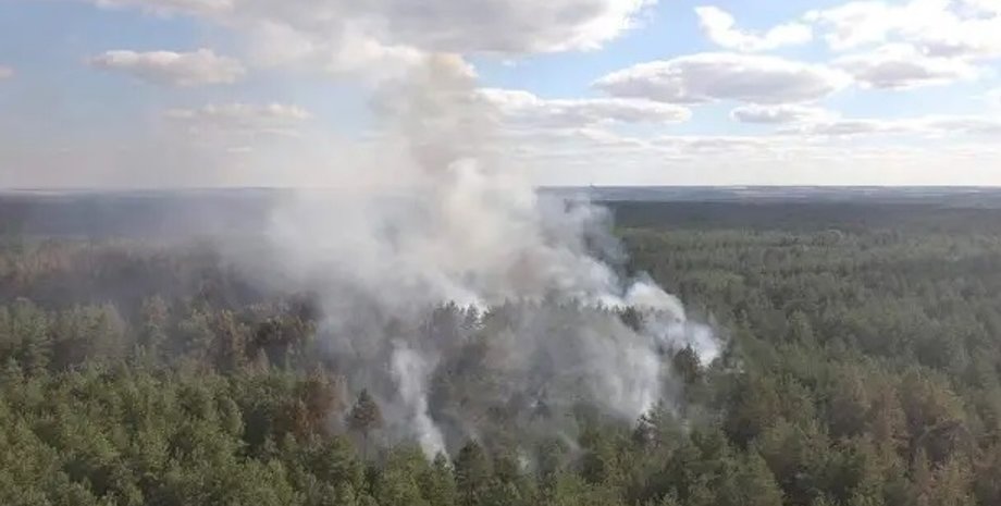 Фото: dsns.gov.ua