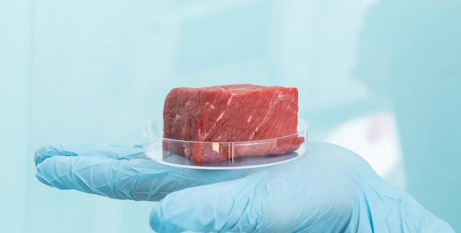 мясо, выращенное в лаборатории