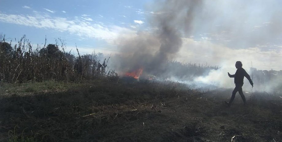 Фото: twitter Nuevo Gráfico