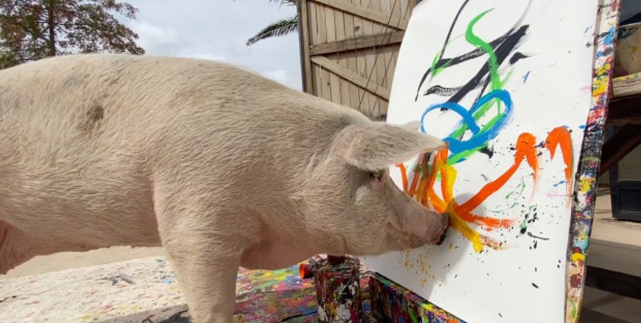 свиня малює, принц гаррі, картина, портрет, колекціонер, продаж картин, творчість