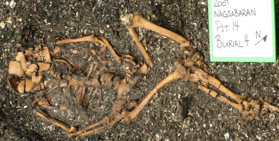 Археологи виявили сліди цинги