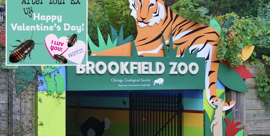 Зоопарк, таргани, перейменування, прикол, курйози, помста, розбите серце, стосунки, звіринець, США