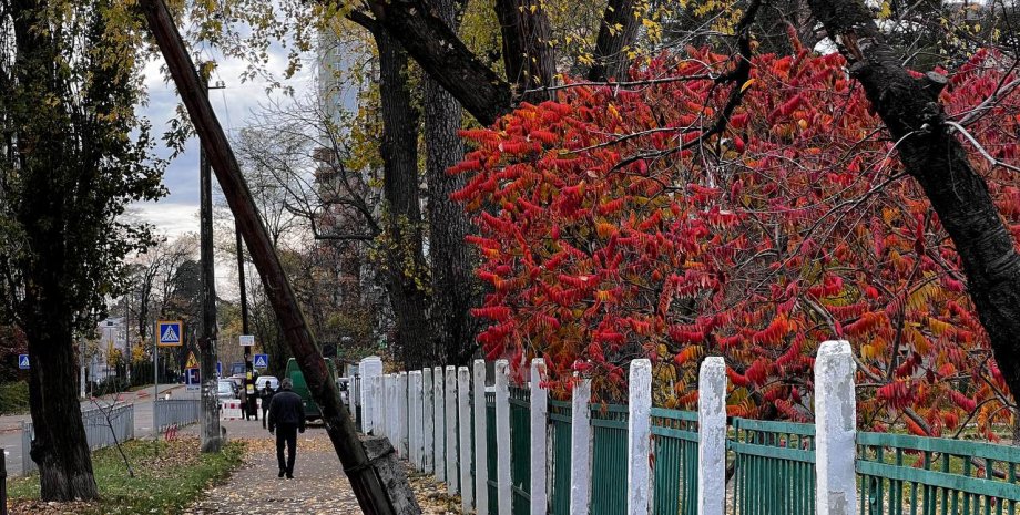 Осень в Украине