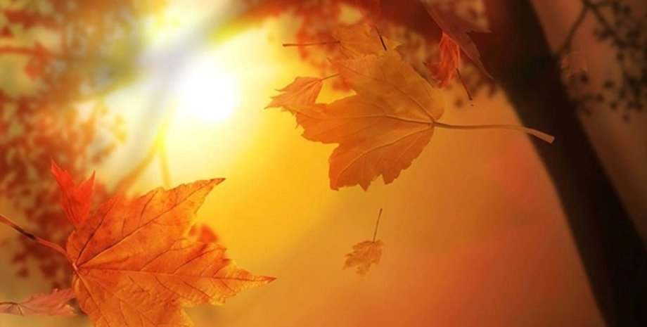 Фото: facebook.com/ukrgmc.official