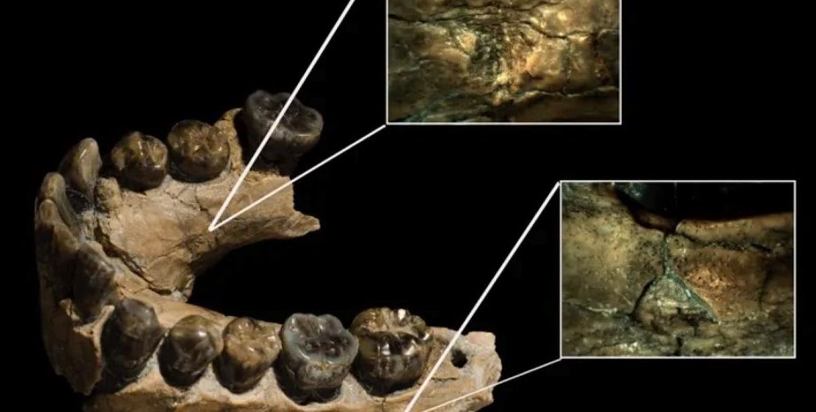 ученые исследовали останки древних людей