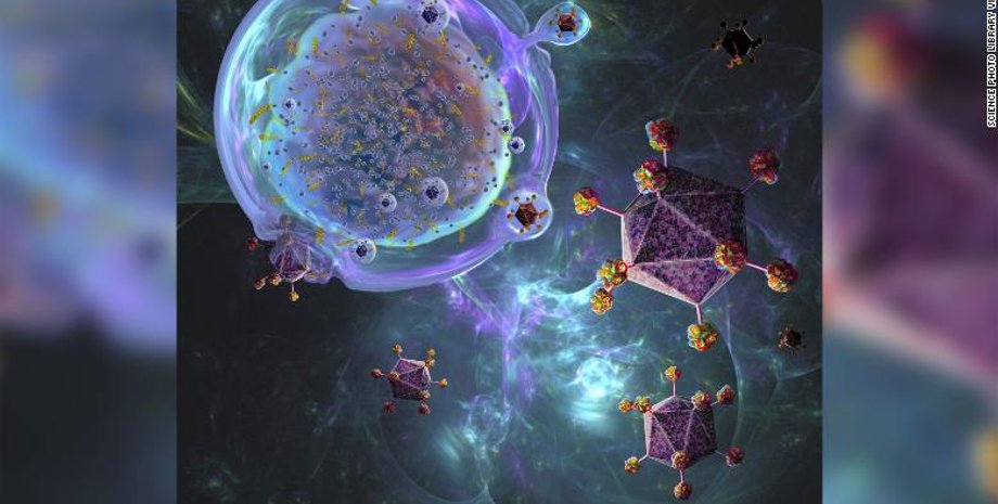 Рак, T-клітини, терапія, ремісія, лейкемія