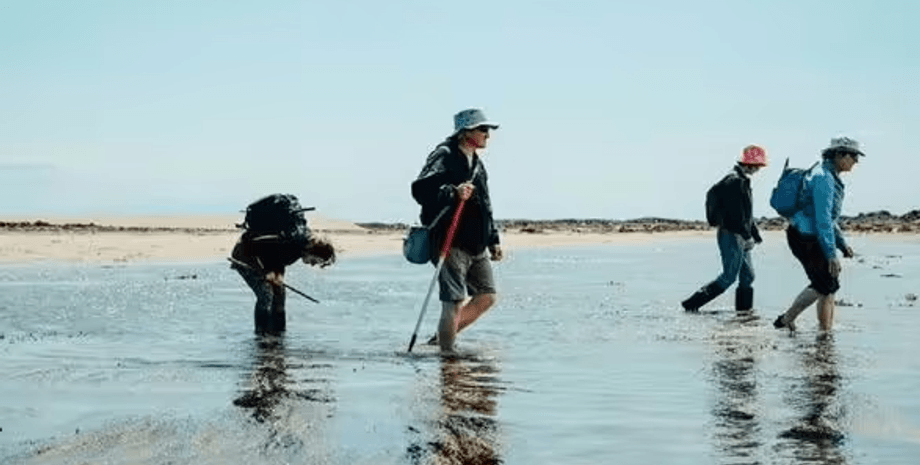 Вчені з Університетського коледжу Лондона досліджують узбережжя Джерсі