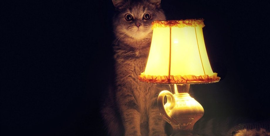 Обменять старую лампочку на LED, программа энергосбережения