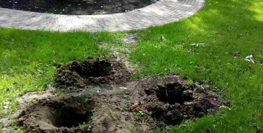 Фото: Киевзеленстрой