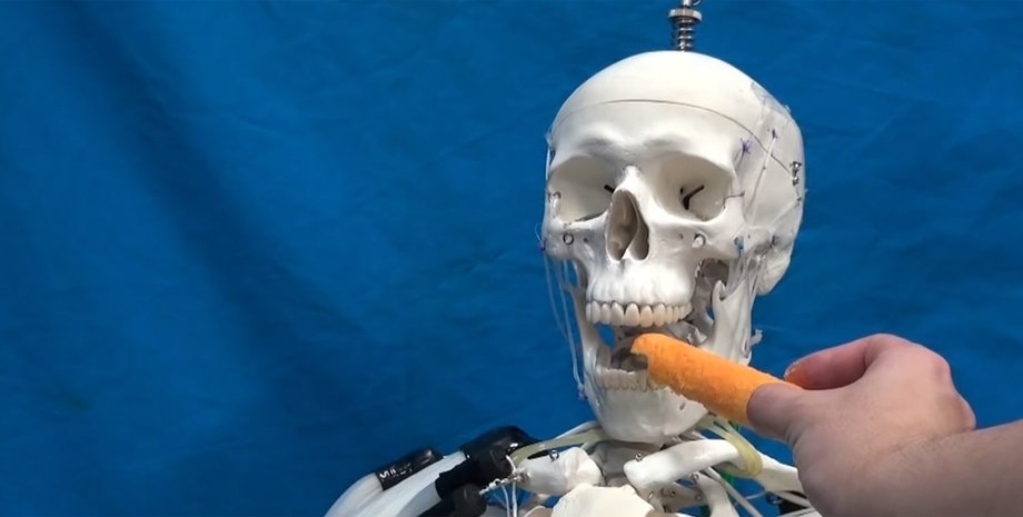 Скриншот видео